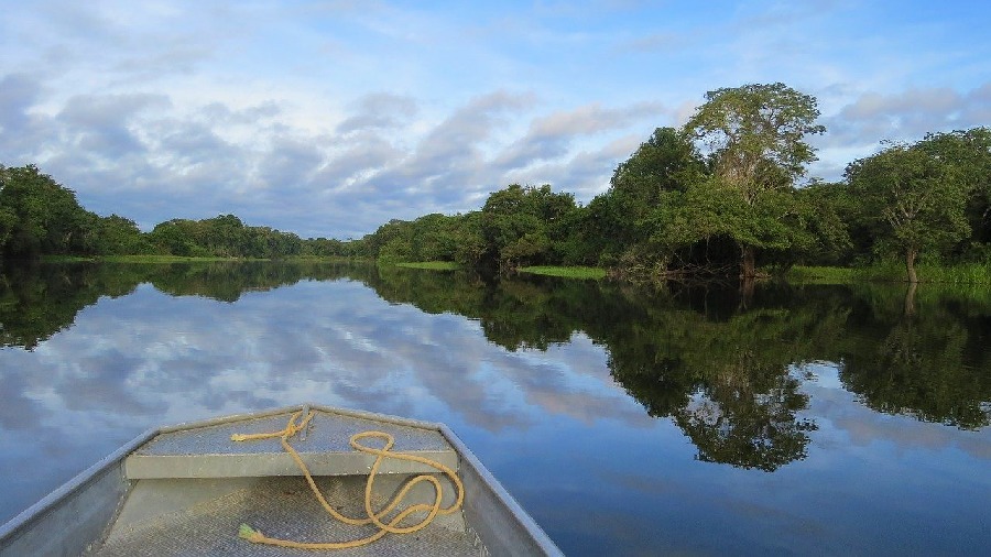 The 12 Best Sport Fishing Destinations to Reach by Bus